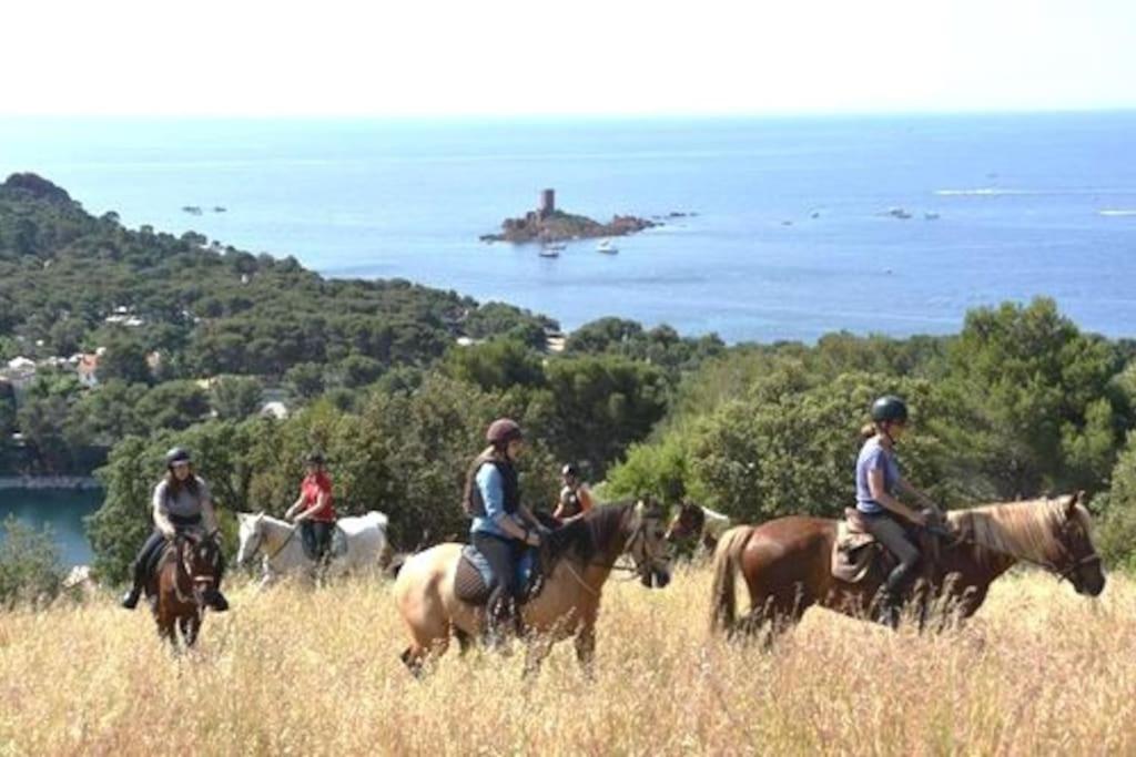 Dans Un Cadre D'Exception, Vue Mer Panoramique A Agay Cote D'Azur, Village Vacances Cap Esterel, T2 Avec Jardin, Golf, Climatisation, Wifi, 5 Piscines Saint-Raphaël Eksteriør billede