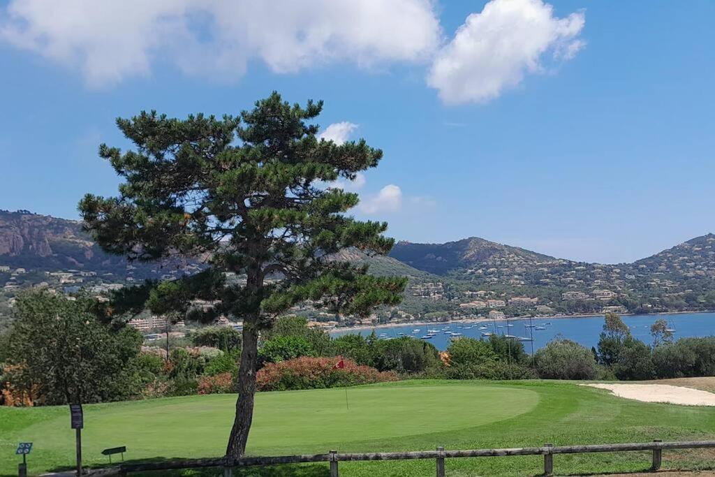 Dans Un Cadre D'Exception, Vue Mer Panoramique A Agay Cote D'Azur, Village Vacances Cap Esterel, T2 Avec Jardin, Golf, Climatisation, Wifi, 5 Piscines Saint-Raphaël Eksteriør billede