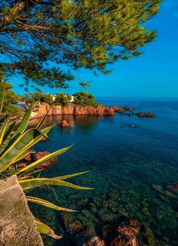 Dans Un Cadre D'Exception, Vue Mer Panoramique A Agay Cote D'Azur, Village Vacances Cap Esterel, T2 Avec Jardin, Golf, Climatisation, Wifi, 5 Piscines Saint-Raphaël Eksteriør billede
